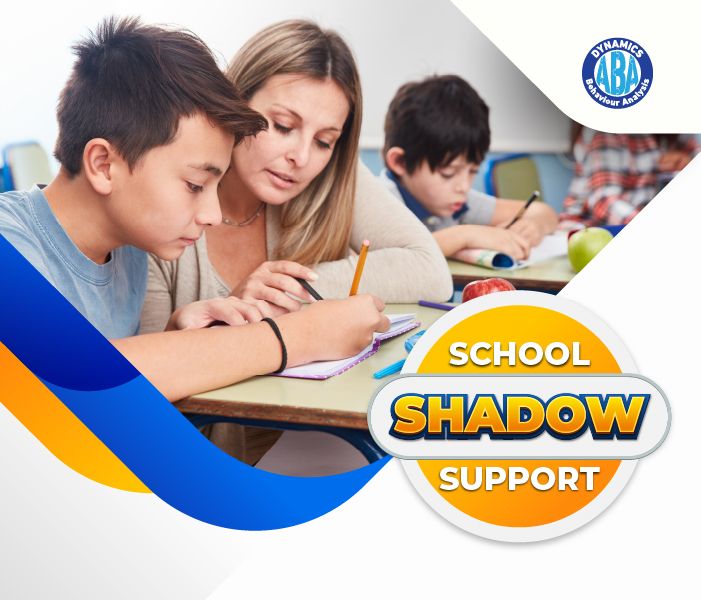 programs-shadow-support.jpg